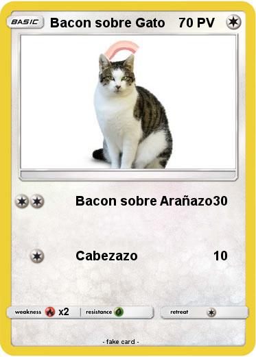 Pokemon Bacon sobre Gato