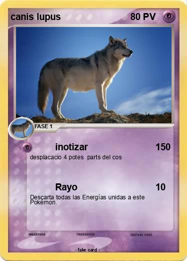 Pokemon canis lupus