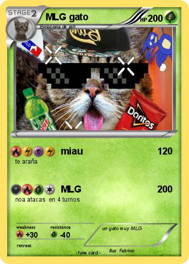 Pokemon MLG gato