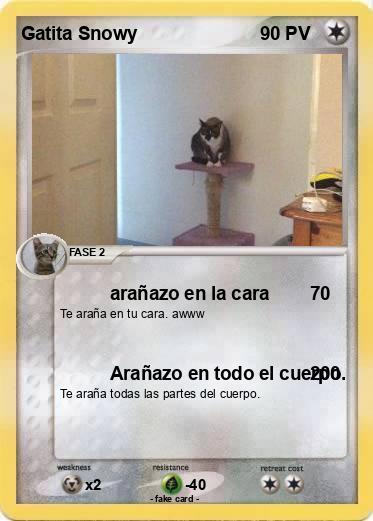 Pokemon Gatita Snowy