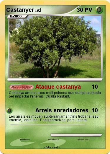 Pokemon Castanyer