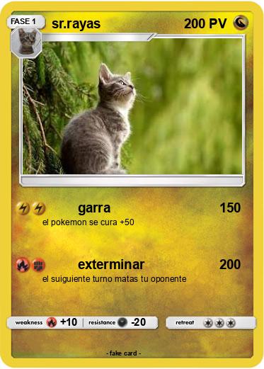 Pokemon sr.rayas