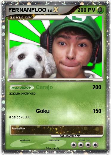 Pokemon FERNANFLOO