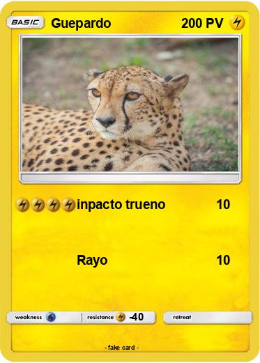 Pokemon Guepardo