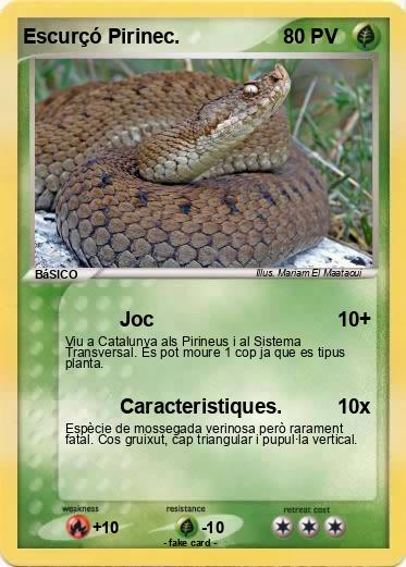 Pokemon Escurçó Pirinec.