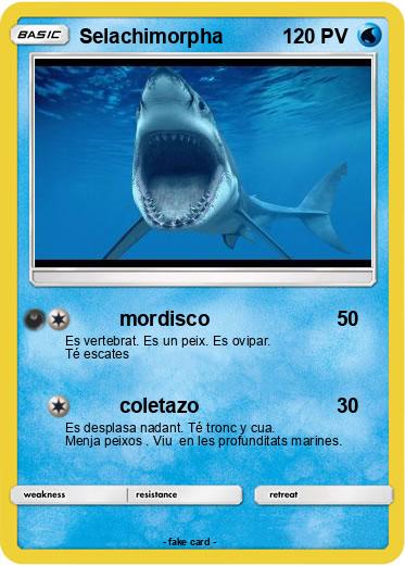 Pokemon Selachimorpha