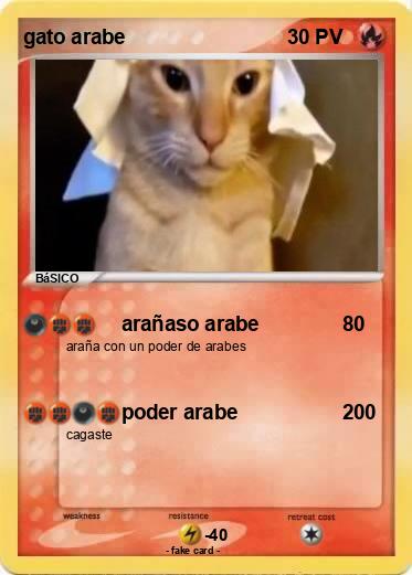 Pokemon gato arabe