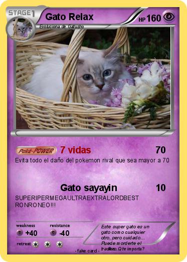 Pokemon Gato Relax