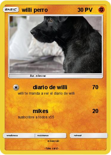 Pokemon willi perro