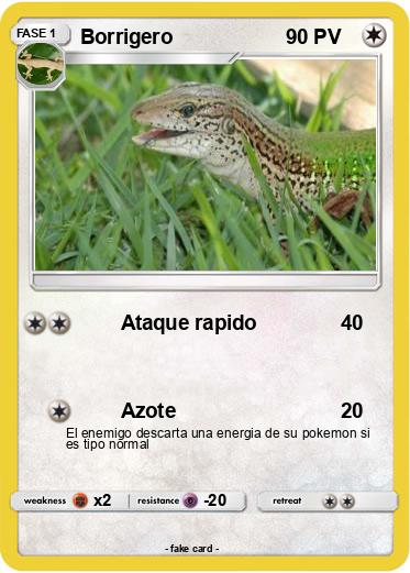 Pokemon Borrigero