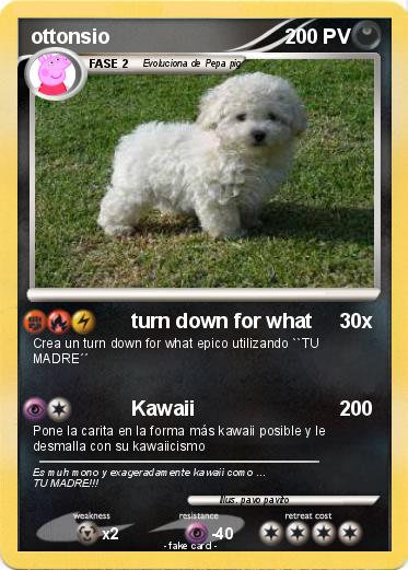 Pokemon ottonsio Pokemon ottonsio