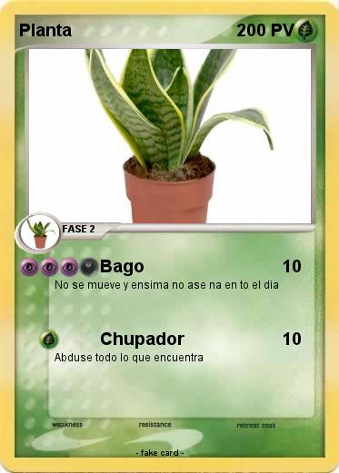 Pokemon Planta