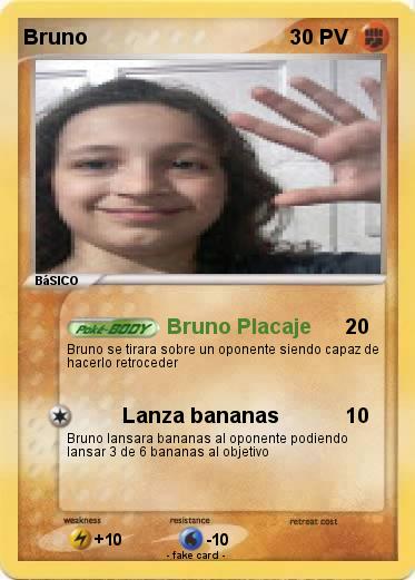 Pokemon Bruno