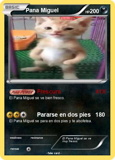Pokemon Pana Miguel