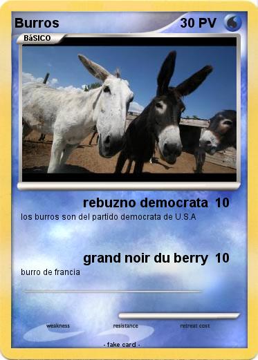 Pokemon Burros