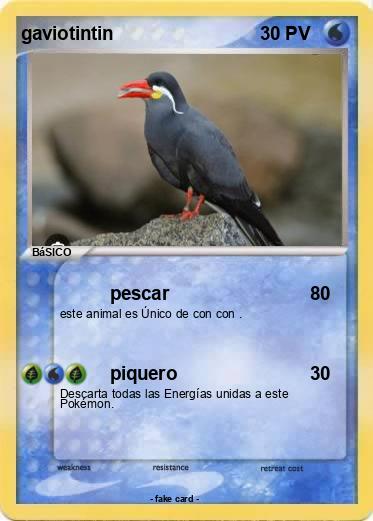 Pokemon gaviotintin