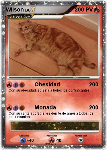Pokemon Wilson