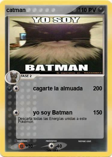 Pokemon catman