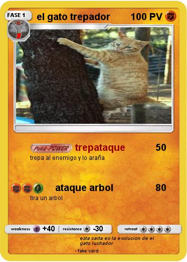 Pokemon el gato trepador