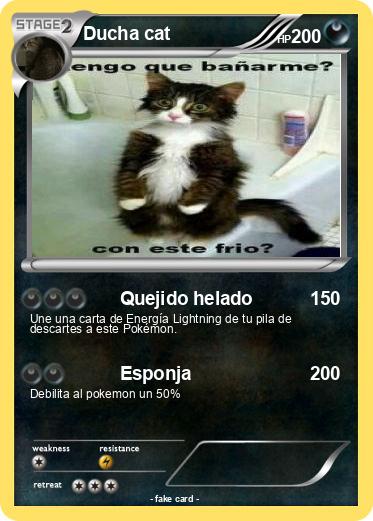 Pokemon Ducha cat