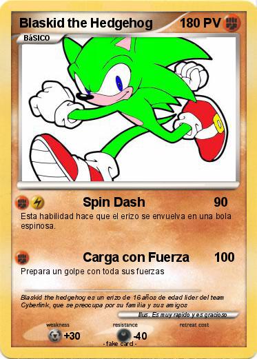 Pokemon Blaskid the Hedgehog