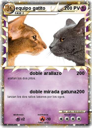 Pokemon equipo gatito