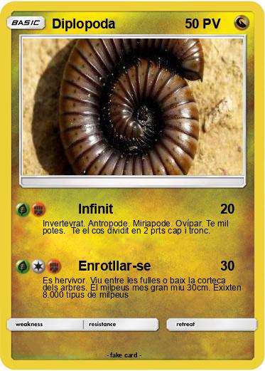 Pokemon Diplopoda
