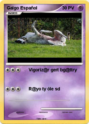 Pokemon Galgo Español