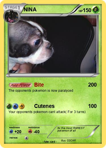 Pokemon NINA