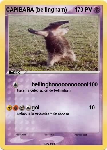 Pokemon CAPIBARA (bellingham)