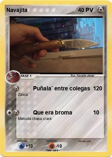 Pokemon Navajita