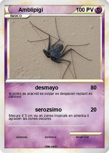 Pokemon Amblipigi