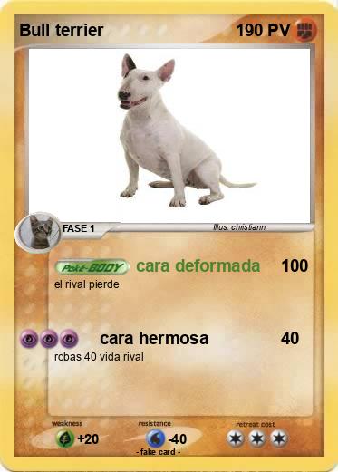 Pokemon Bull terrier