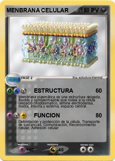 Pokemon MENBRANA CELULAR