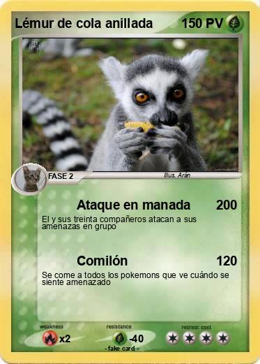 Pokemon Lémur de cola anillada