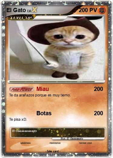 Pokemon El Gato