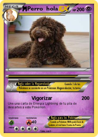 Pokemon Perro  hola