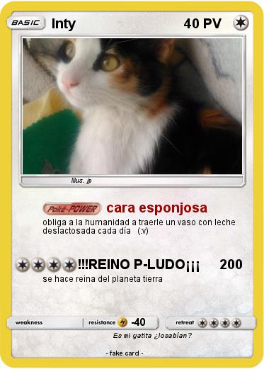 Pokemon Inty