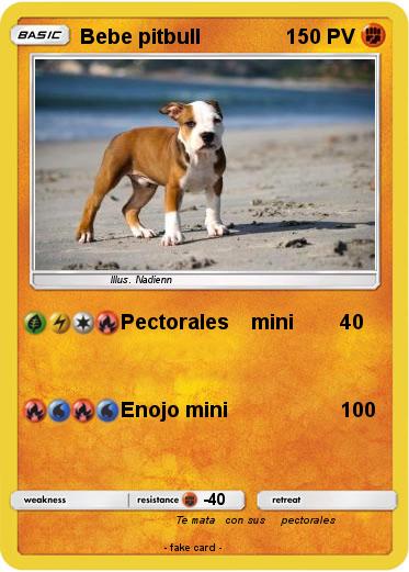 Pokemon Bebe pitbull
