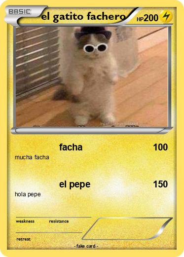 Pokemon el gatito fachero