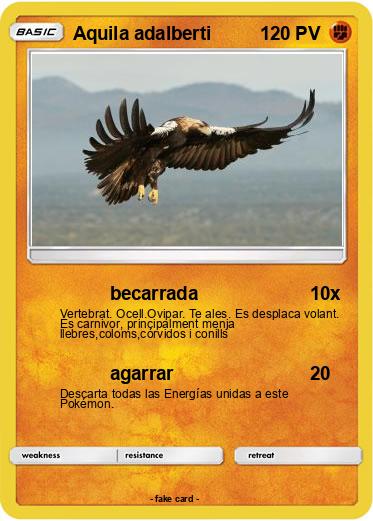 Pokemon Aquila adalberti