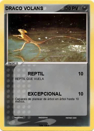 Pokemon DRACO VOLANS