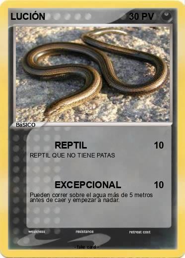 Pokemon LUCIÓN