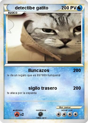 Pokemon detectibe gatito