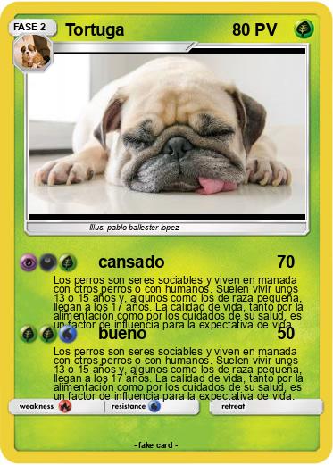 Pokemon Tortuga