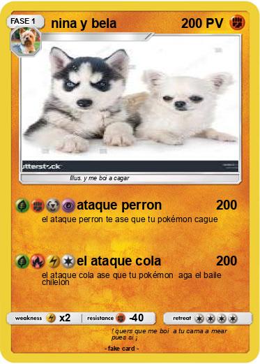 Pokemon nina y bela