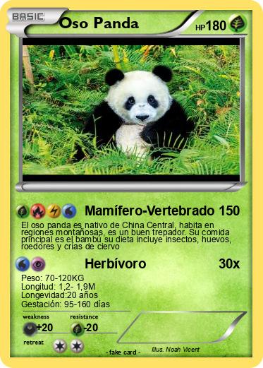 Pokemon Oso Panda