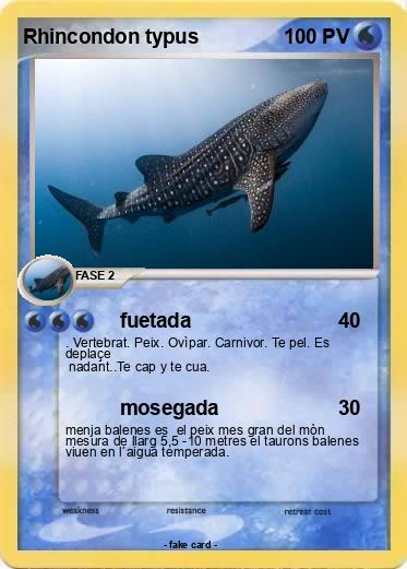 Pokemon Rhincondon typus