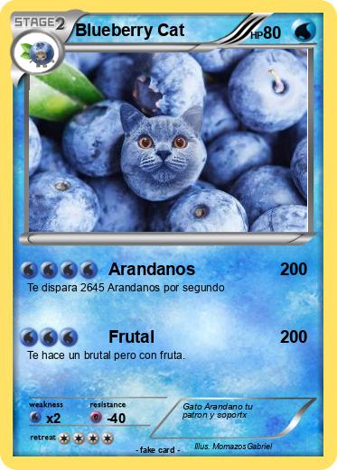 Pokemon Blueberry Cat