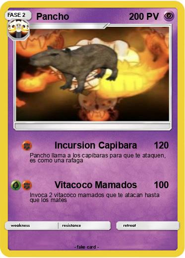 Pokemon Pancho